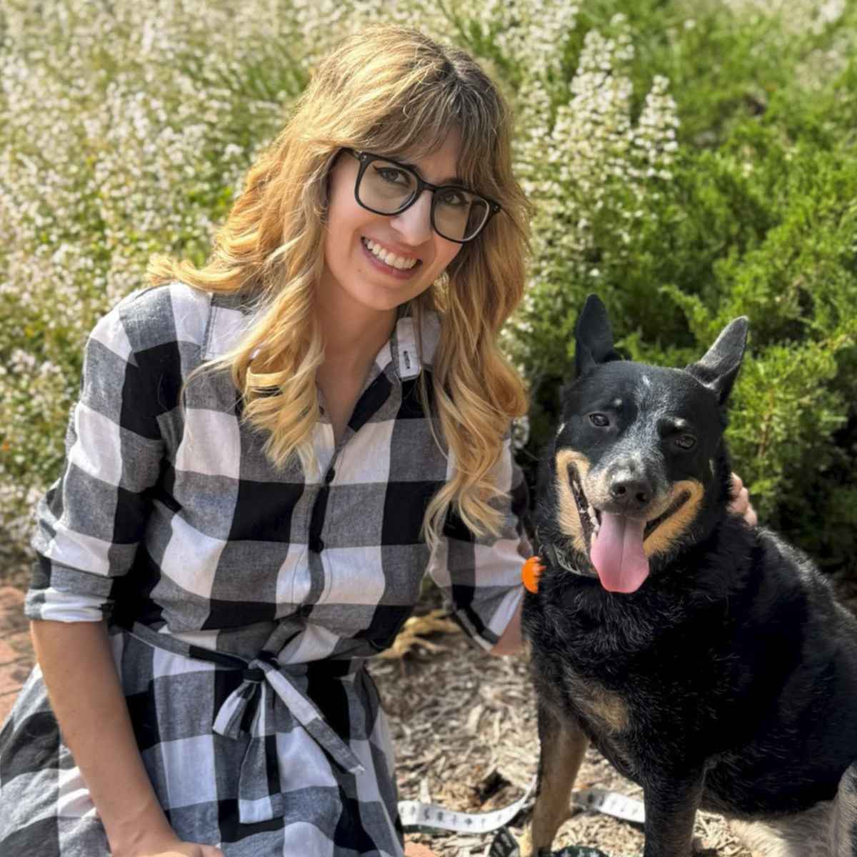 Profile picture of Rachel Hancock, DVM, Veterinarian