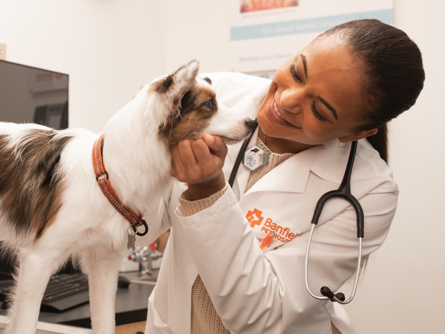 A young female veterinarian examining a dog at the Banfield Pet Hospital