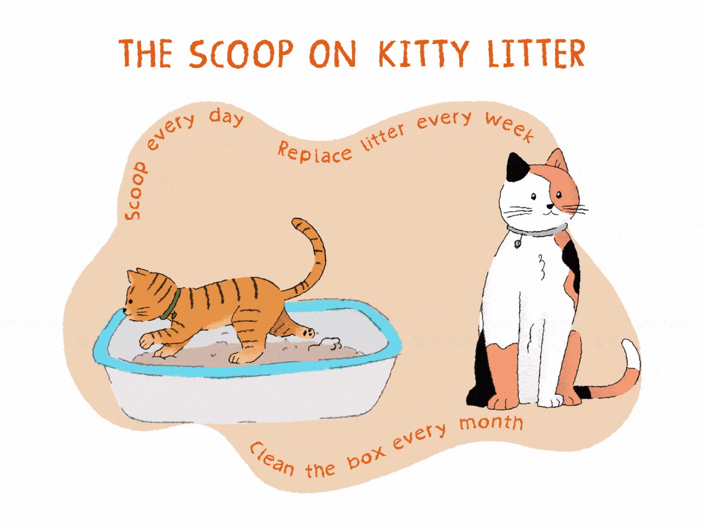 orange kitten litter box calico cat illustration