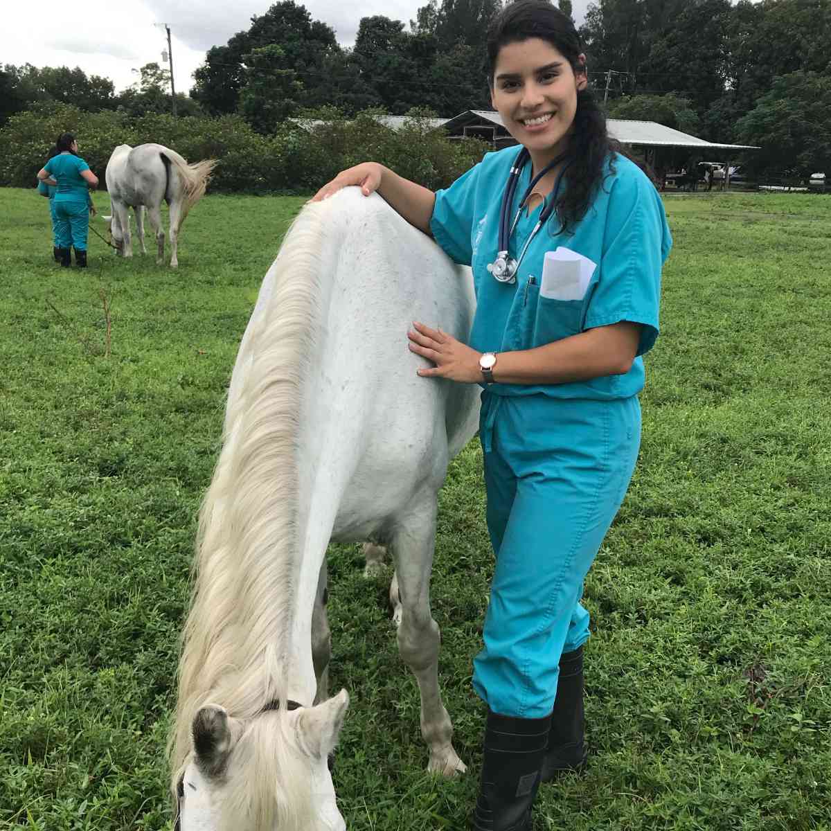 Profile picture of Andrea Rincon, CVT, Credentialed Veterinary Technician