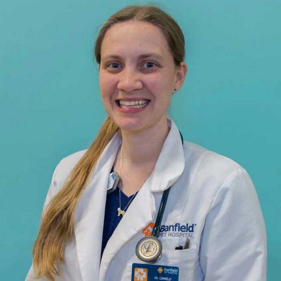 Profile picture of Melinda Connelly, DVM, Veterinarian