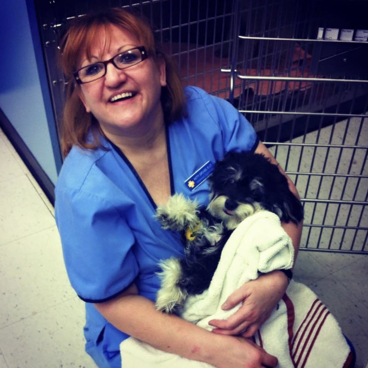 Profile picture of Patricia Groves, RVT, Registered Veterinary Technician