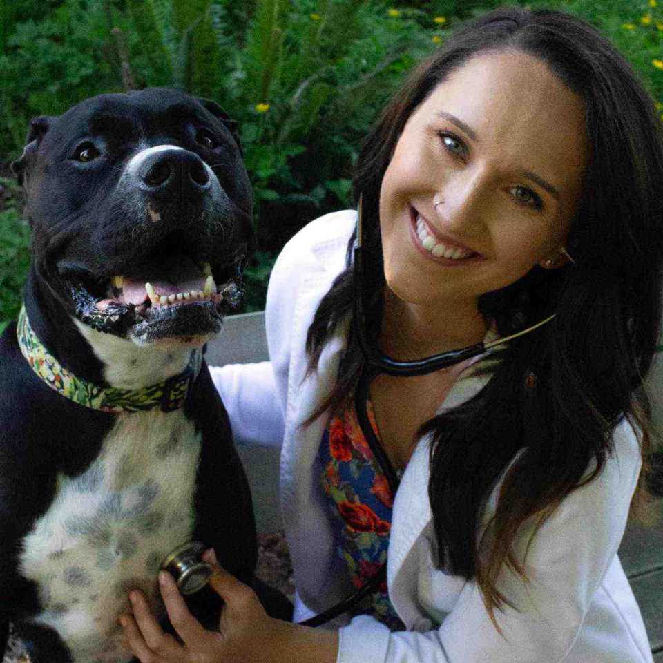 Profile picture of Cassidy McCartney, DVM, Veterinarian