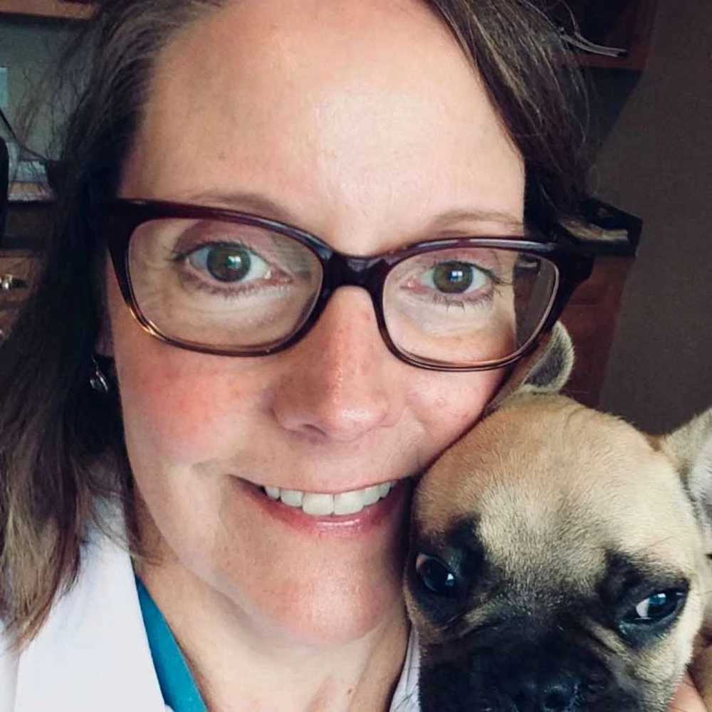 Profile picture of Jenny Powers, DVM, Veterinarian