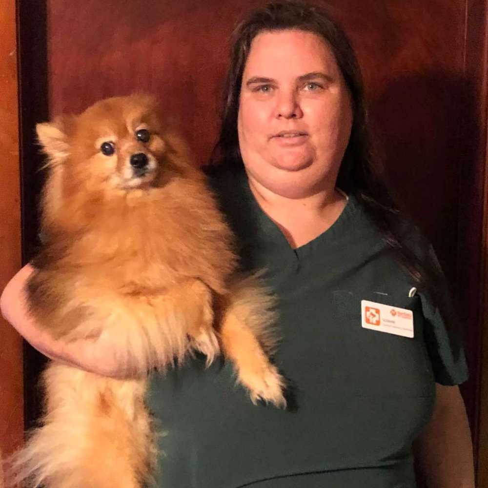 Profile picture of Suzanne Warmack, LVT, Credentialed Veterinary Technician