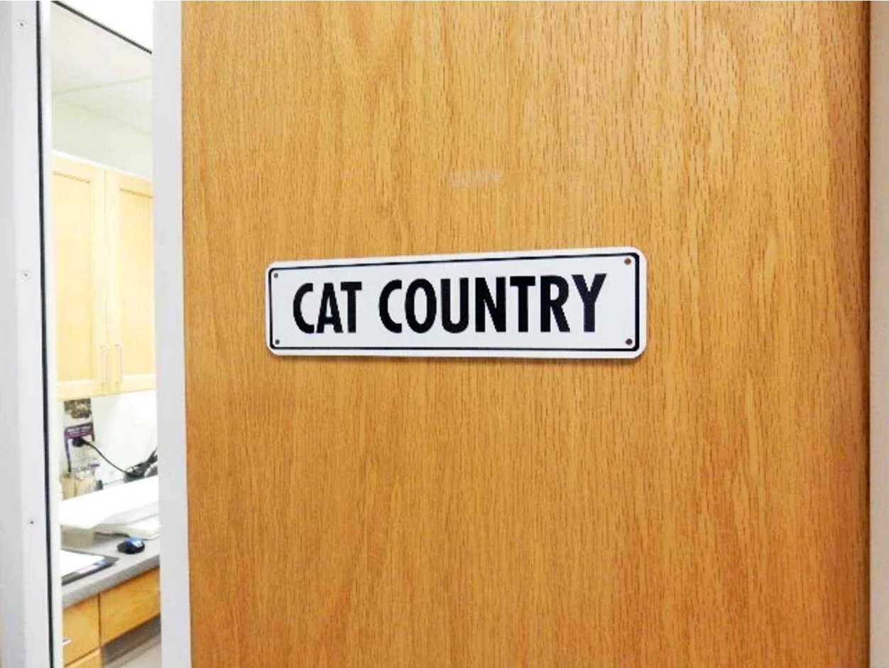 A door with the nameplate - Cat Country
