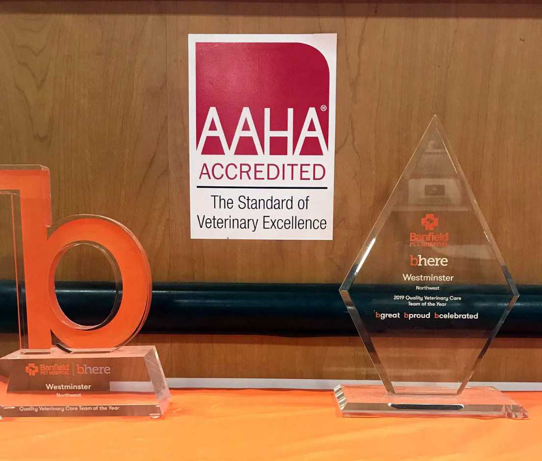 AAHA Accredited - The Standard of Veterinary Excellence Awards