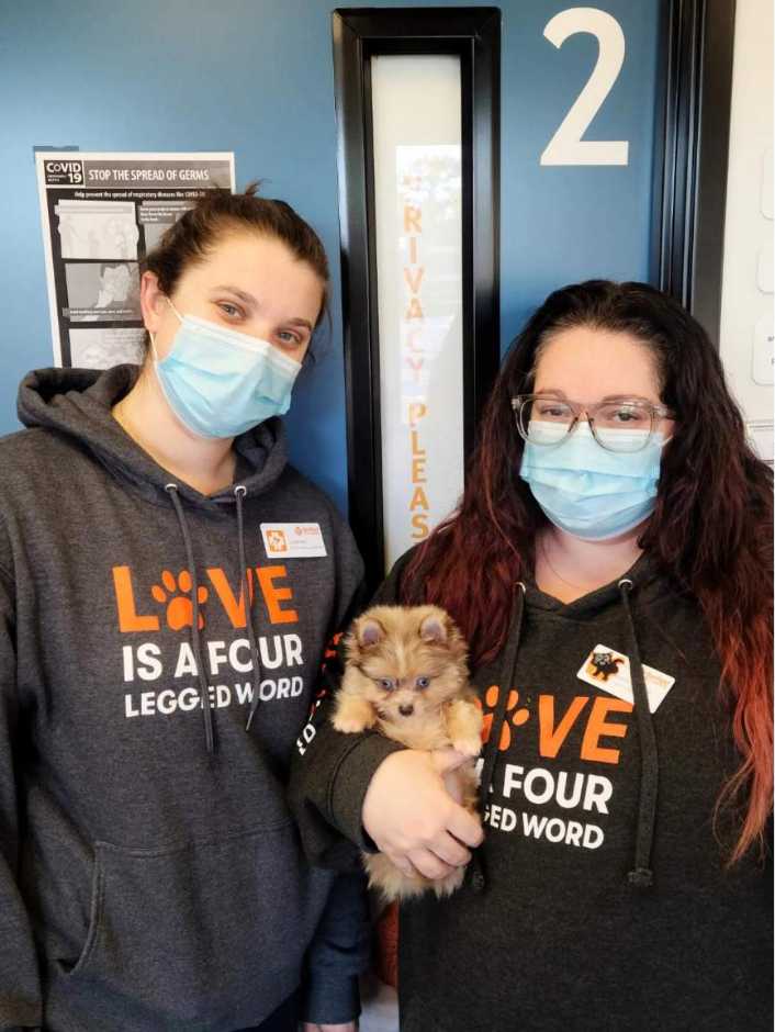 A couple of female Banfield Associates holding a puppy at the Banfield Pet Hospital