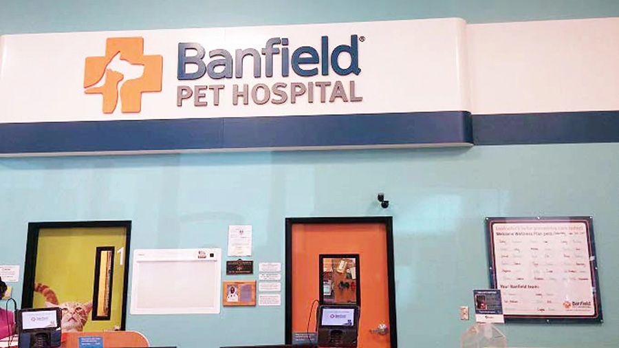 Banfield Pet Hospital, Westbank, LA - Lobby