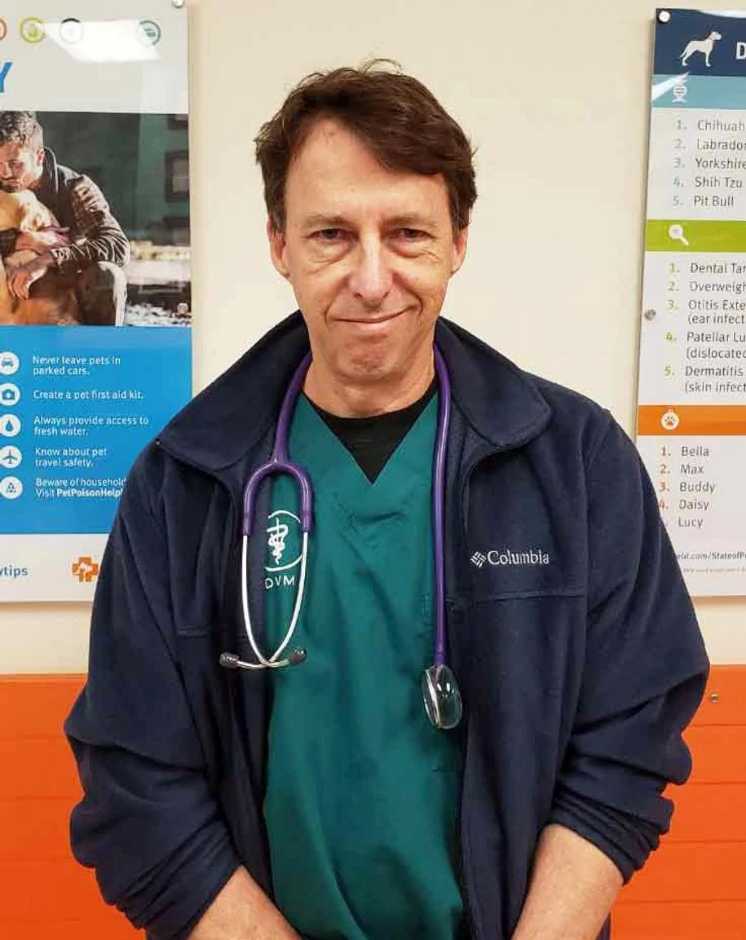 A male veterinarian at the Banfield Pet Hospital