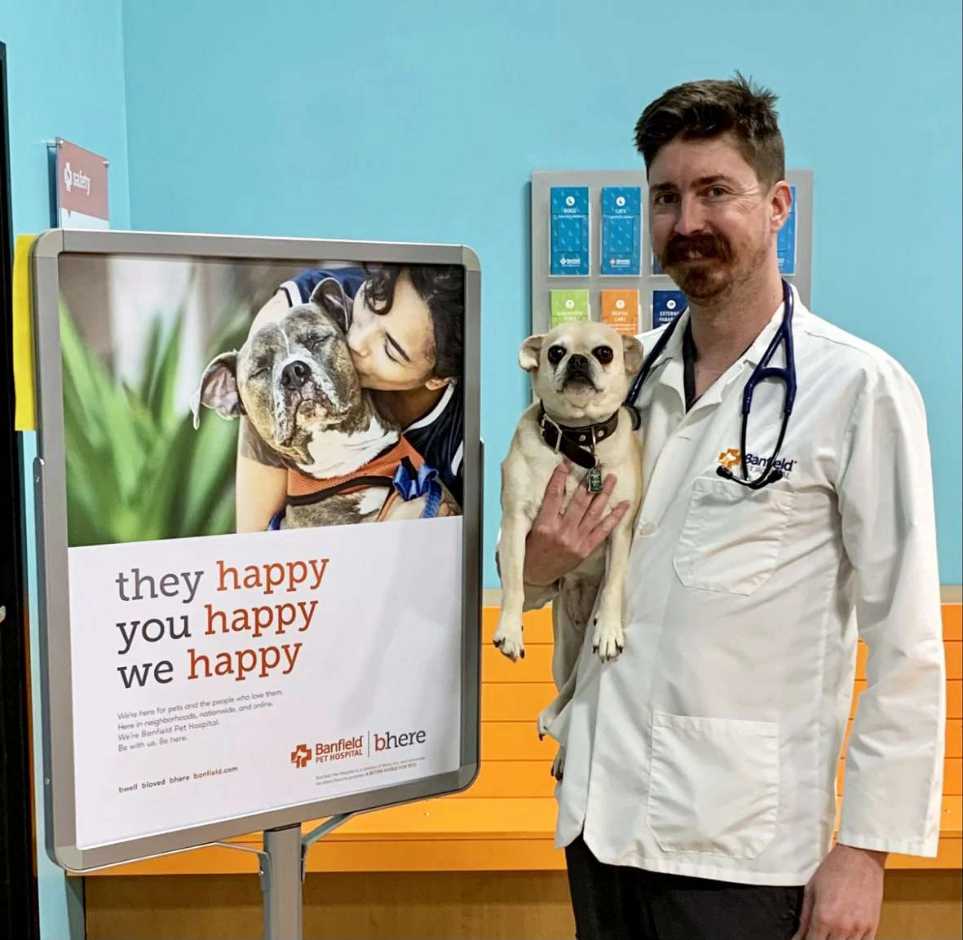 A male veterinarian holding a dog at the Banfield Pet Hospital