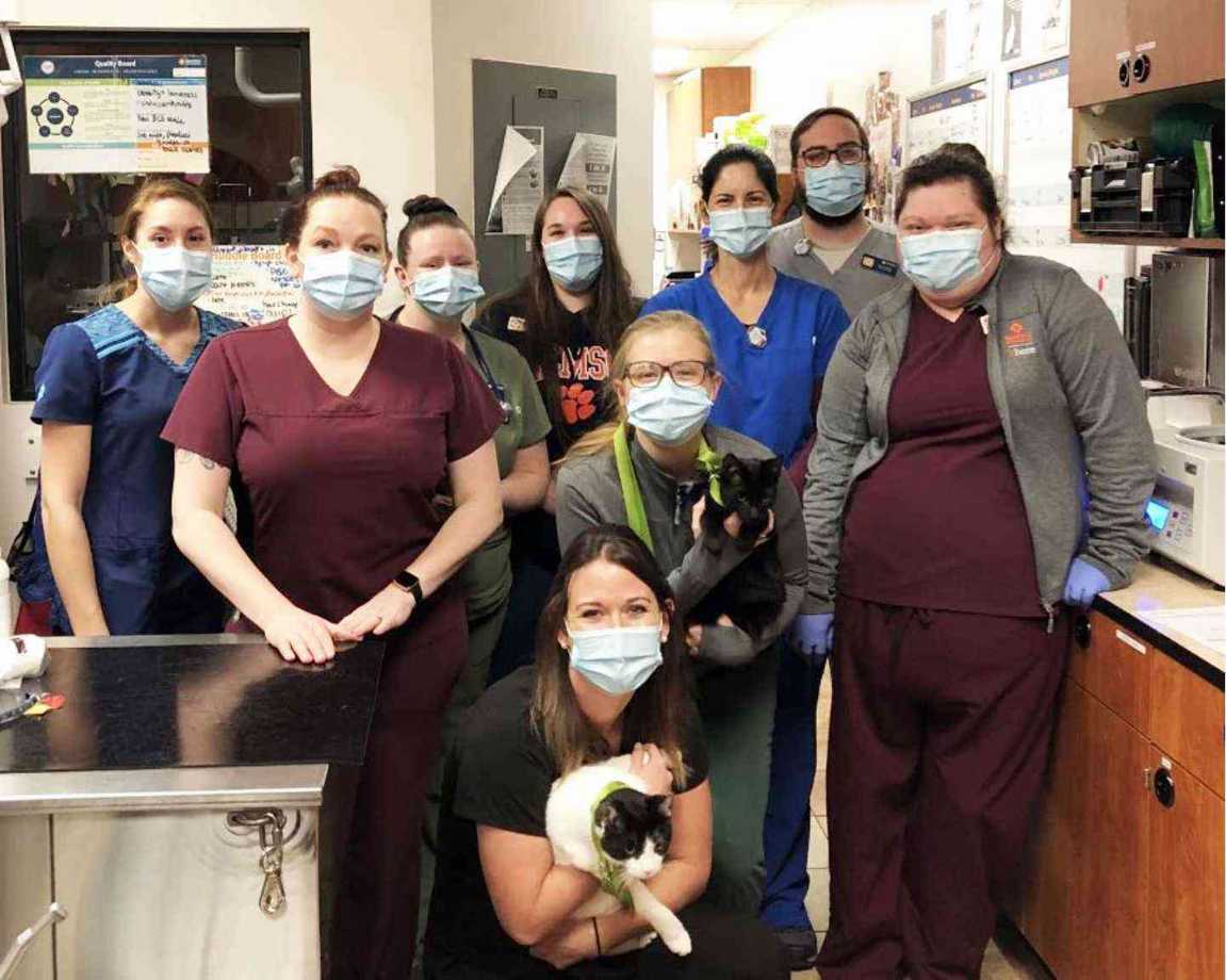 A group of Banfield Associates at the Banfield Pet Hospital, Greenville, South Carolina
