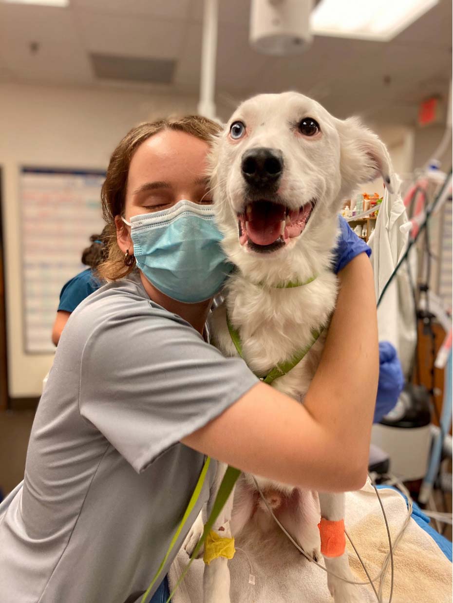A female associate hugging Odin, the dog, at the Banfield Pet Hospital, Austin S, TX