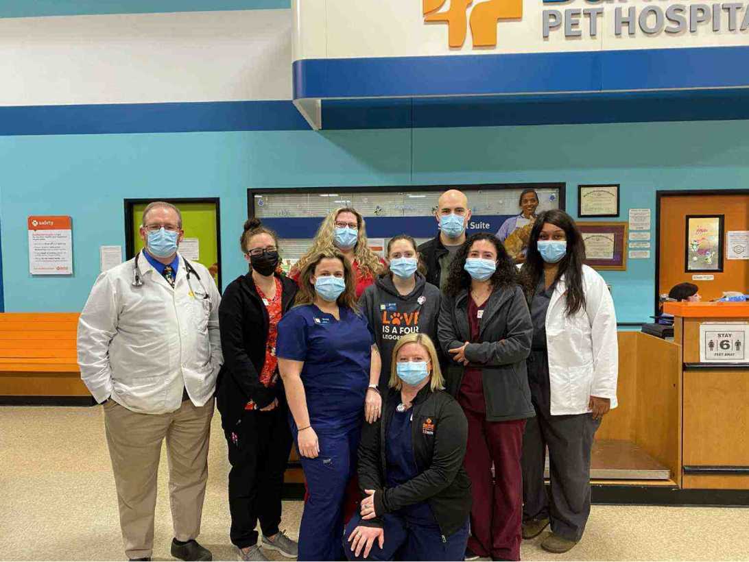 A group of associates at the Banfield Pet Hospital, Rockwall, TX