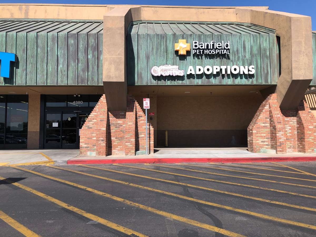 OTS_001 Exterior entrance of the Banfield Old Town Scottsdale hospital