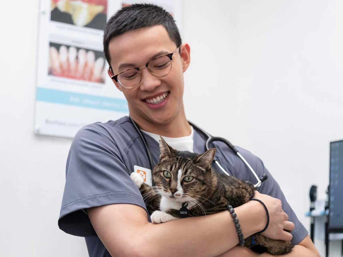 20191116_021_1200x900 Vet assistant Joseph Slater holds a cat in a Banfield exam room