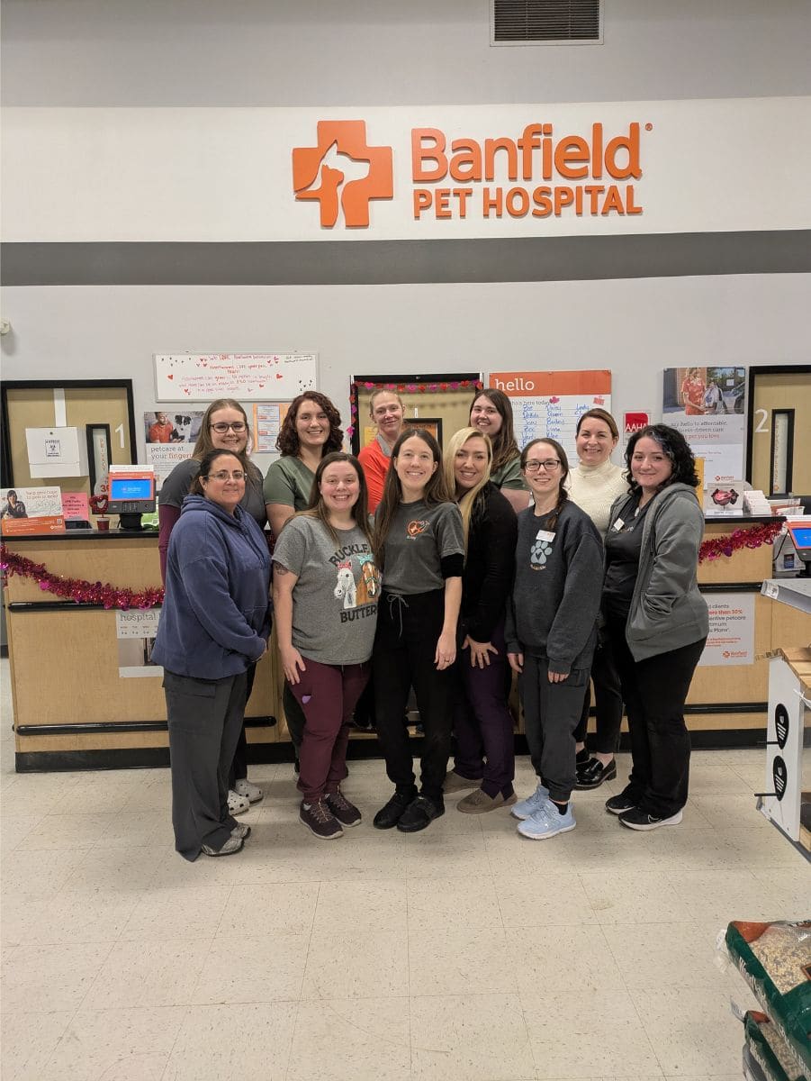 Team photo at the Banfield South Mehlville hospital