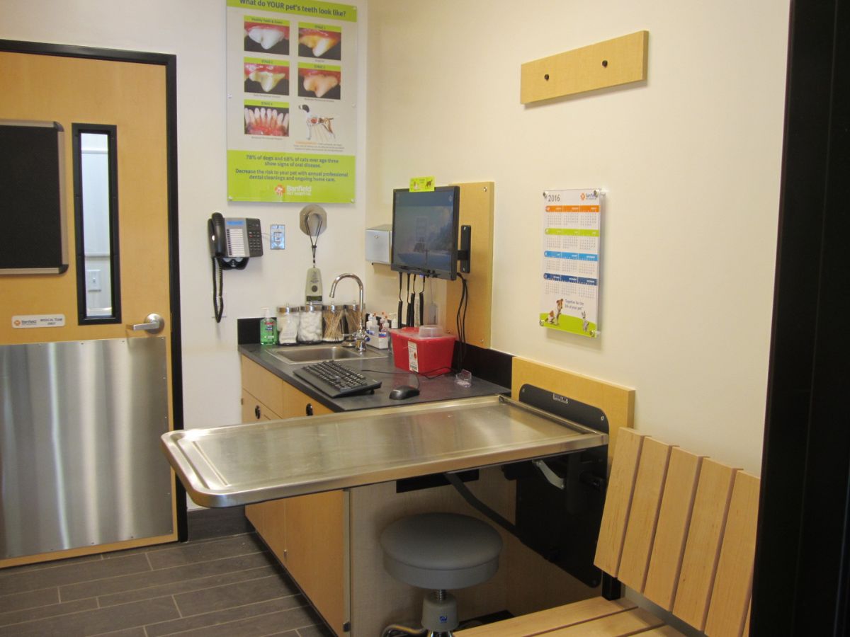 The Exam room in Banfield Pet Hospital - Boca Village Square