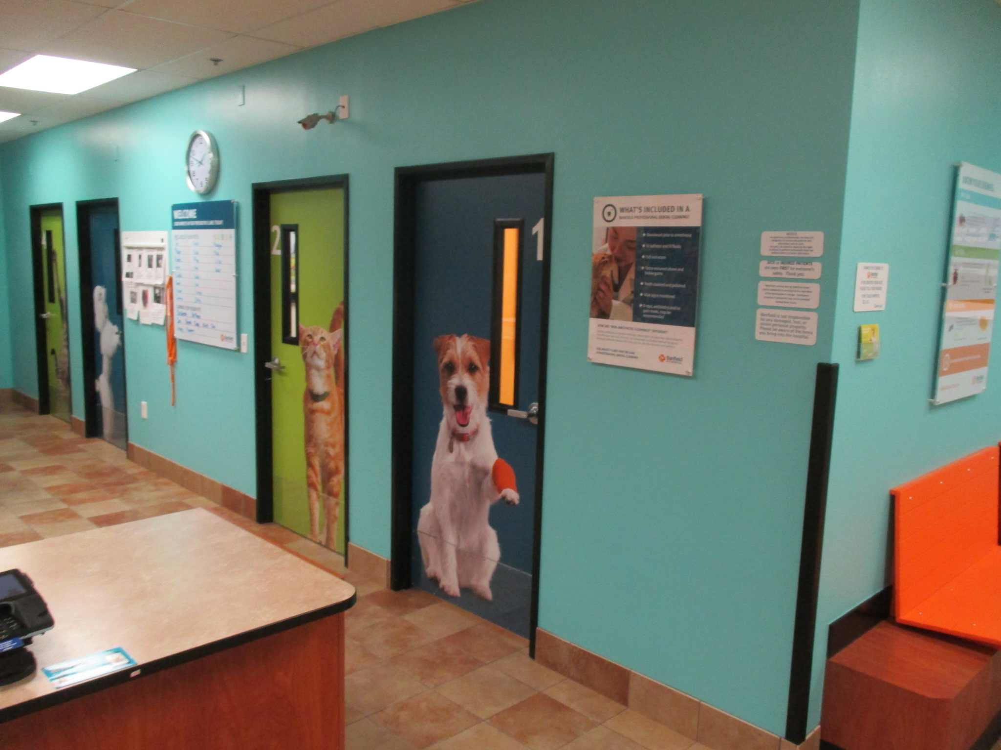 The Banfield Fort Myers exam room doors