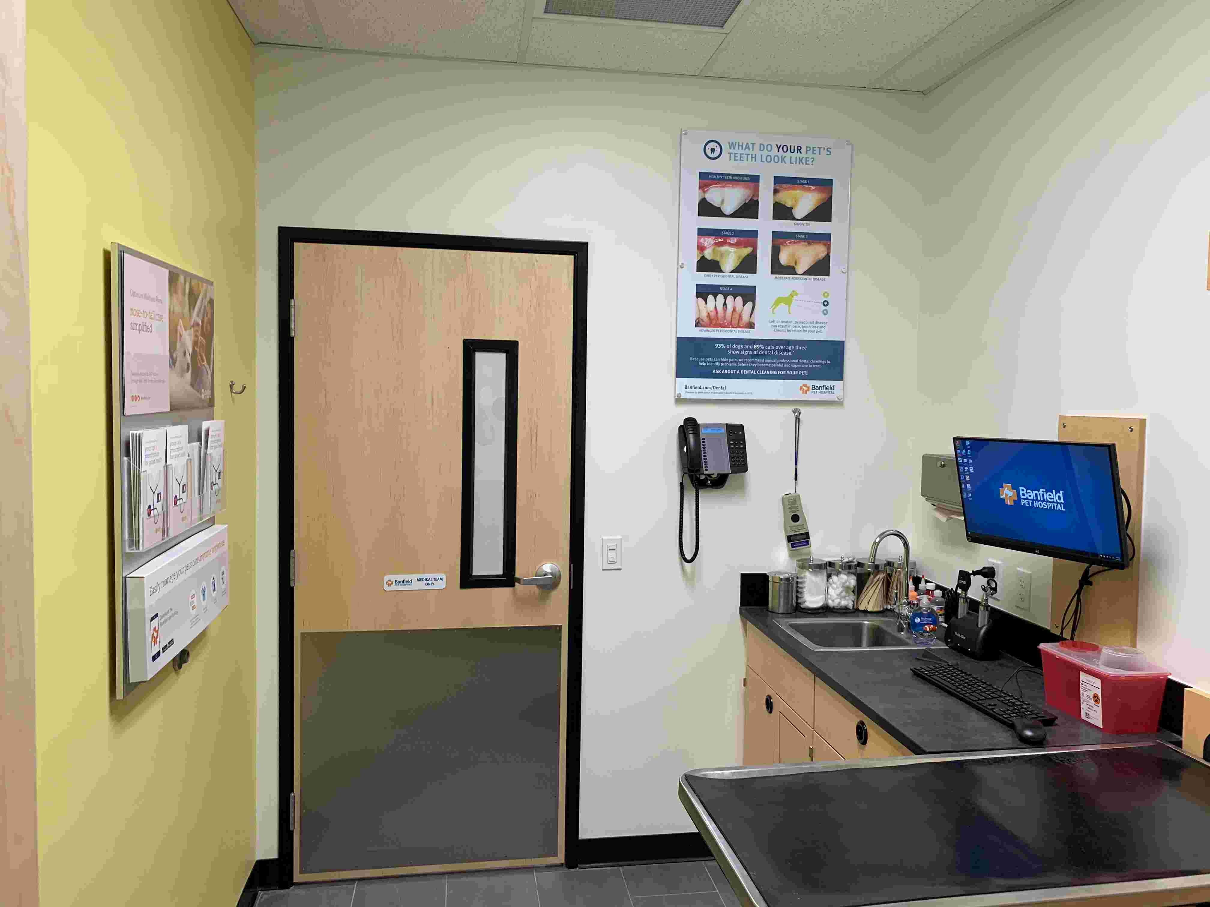 The Banfield Brandon Bloomingdale exam room