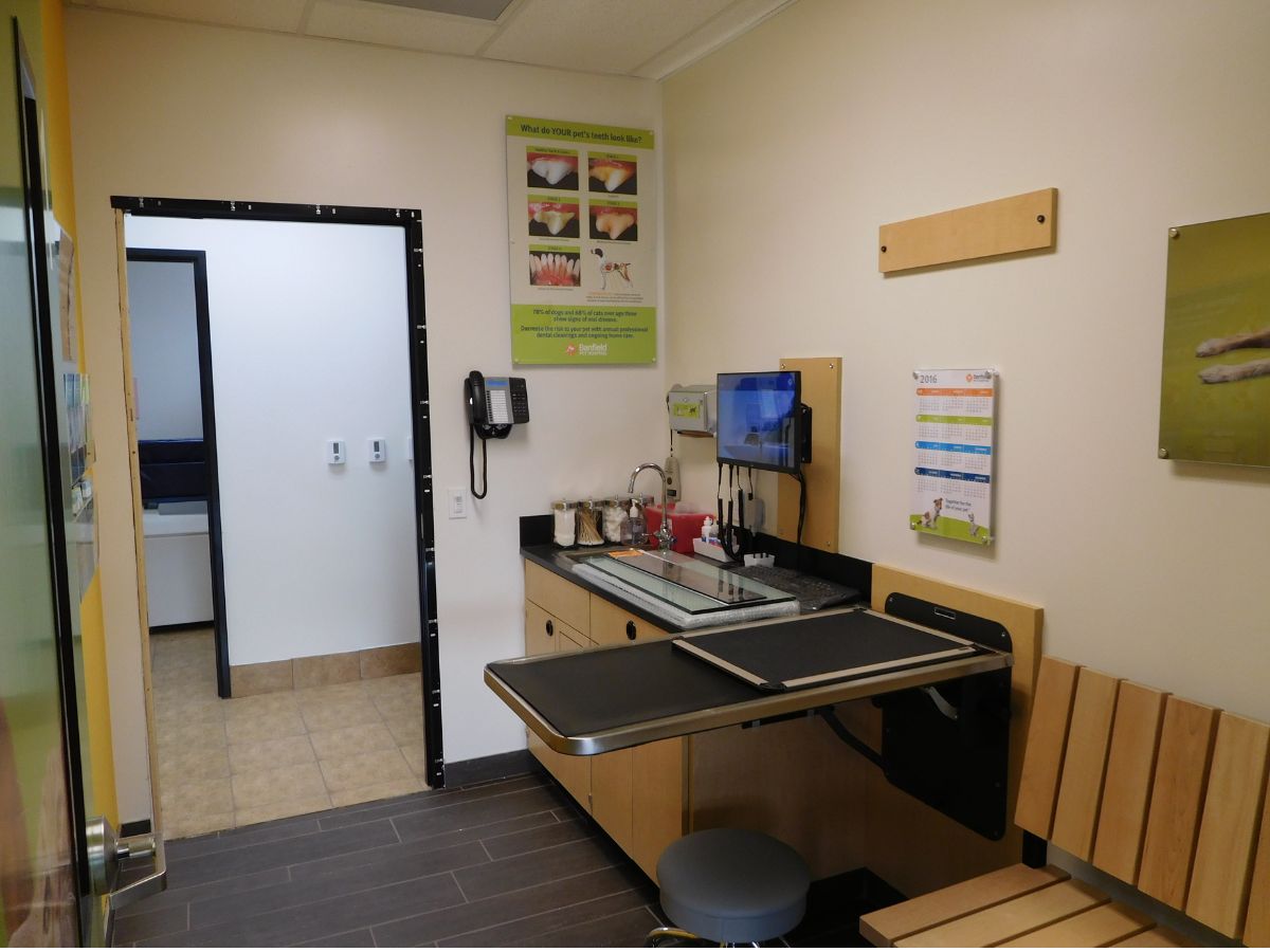 Banfield Pet Hospital: San Pablo hospital exam room and table