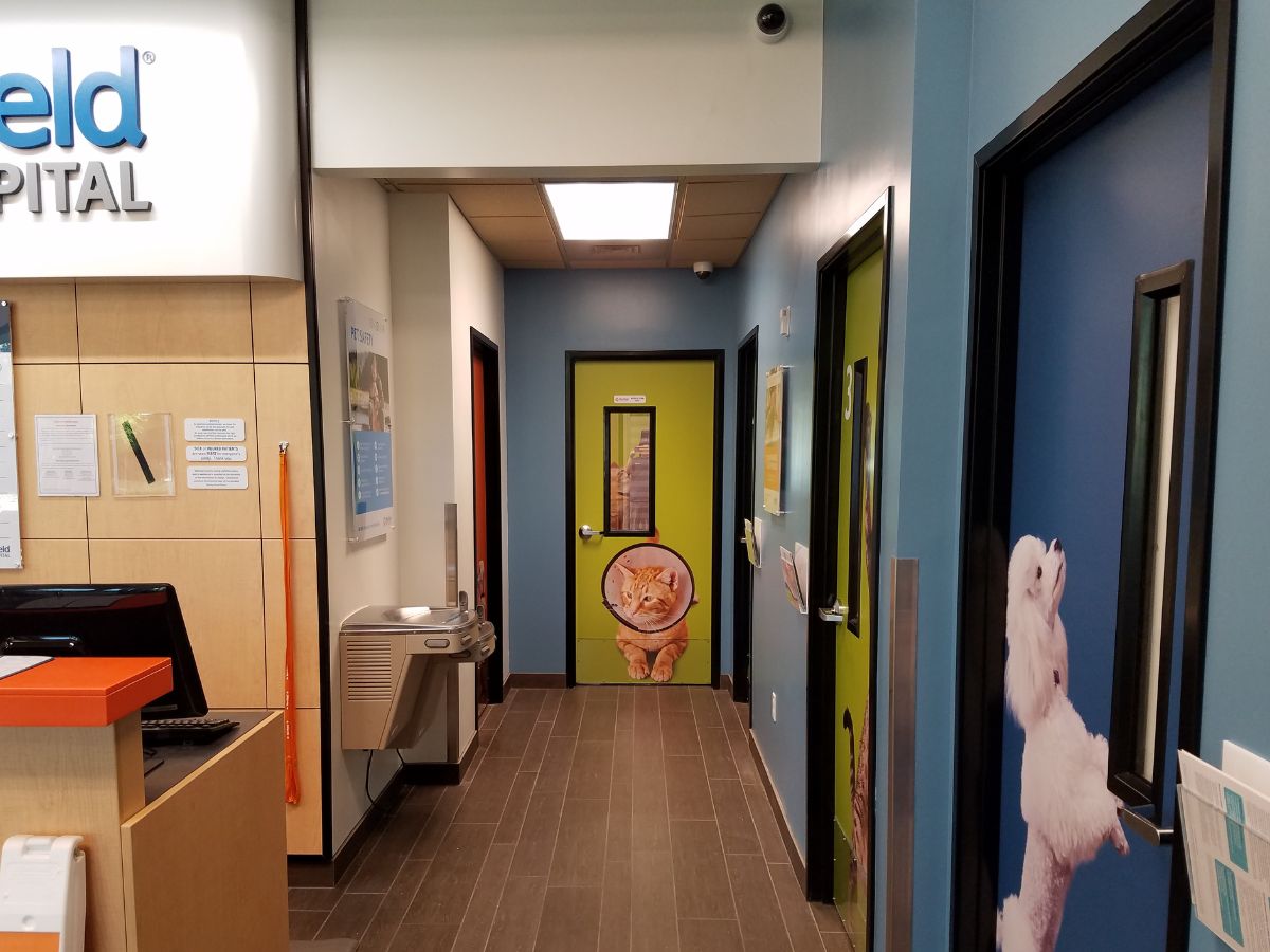 The Banfield Pinecrest walkway to the exam rooms