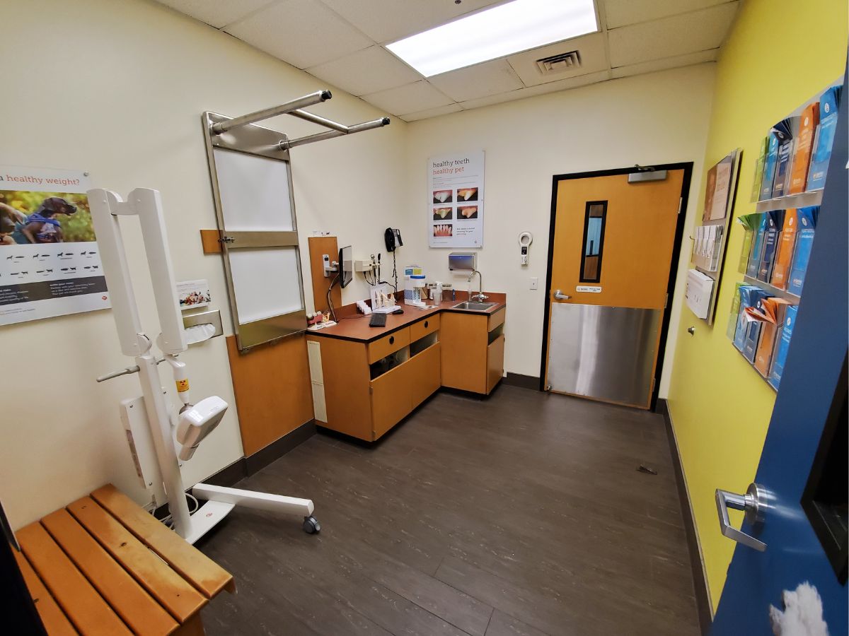 The Banfield Pet Hospital Spanish Fort exam room