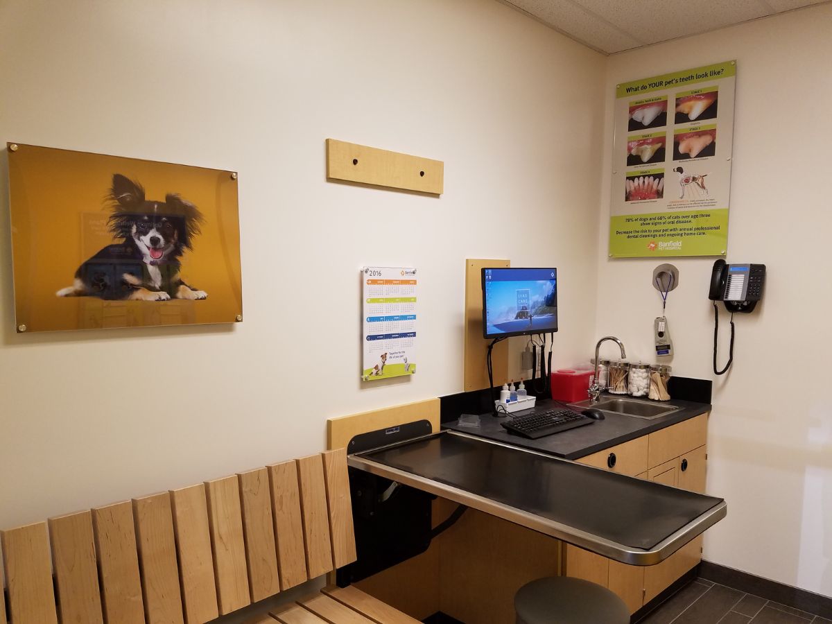 The Banfield Pet Hospital: La Verne exam room with table