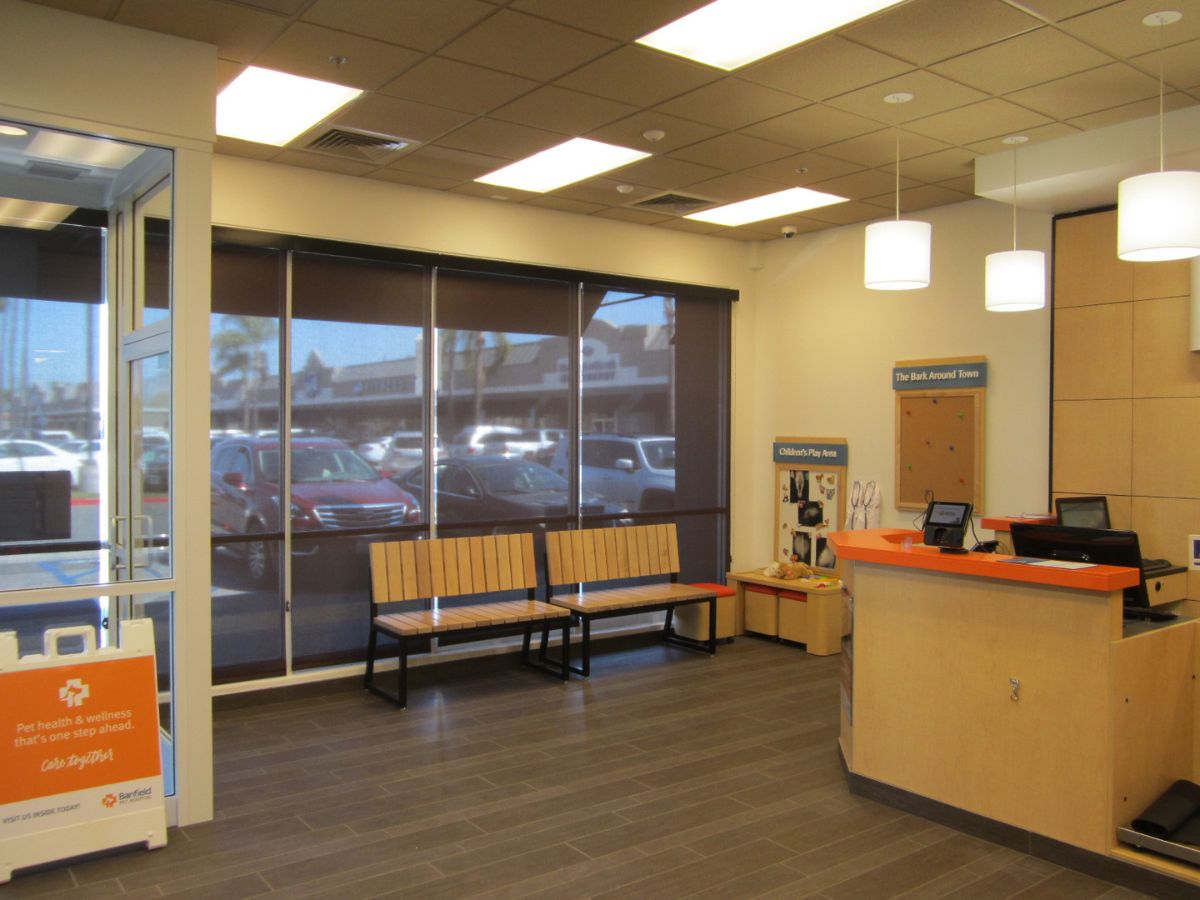 The Banfield Huntington Marina hospital front desk and lobby