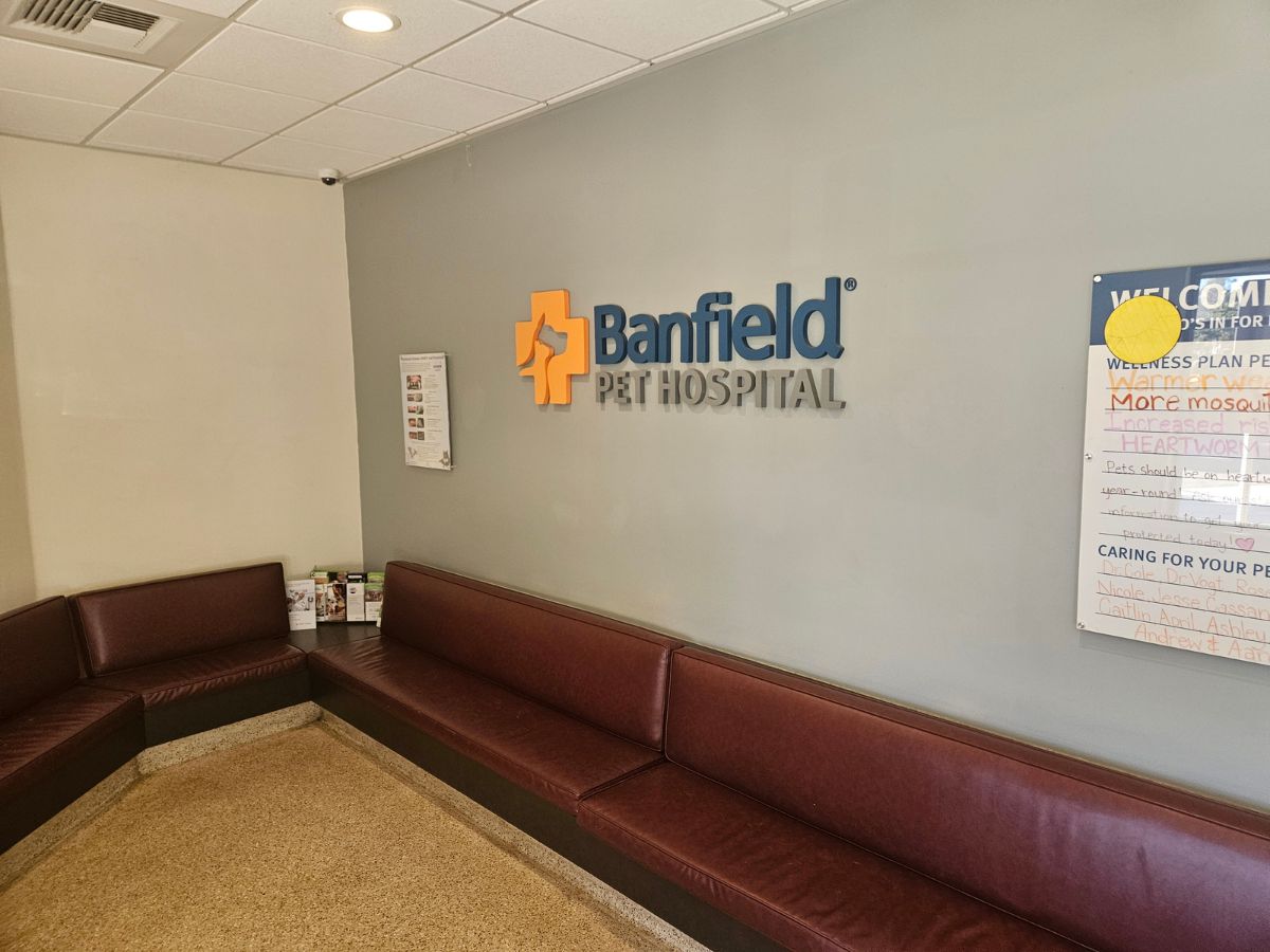 The Banfield Anacapa hospital lobby and waiting area