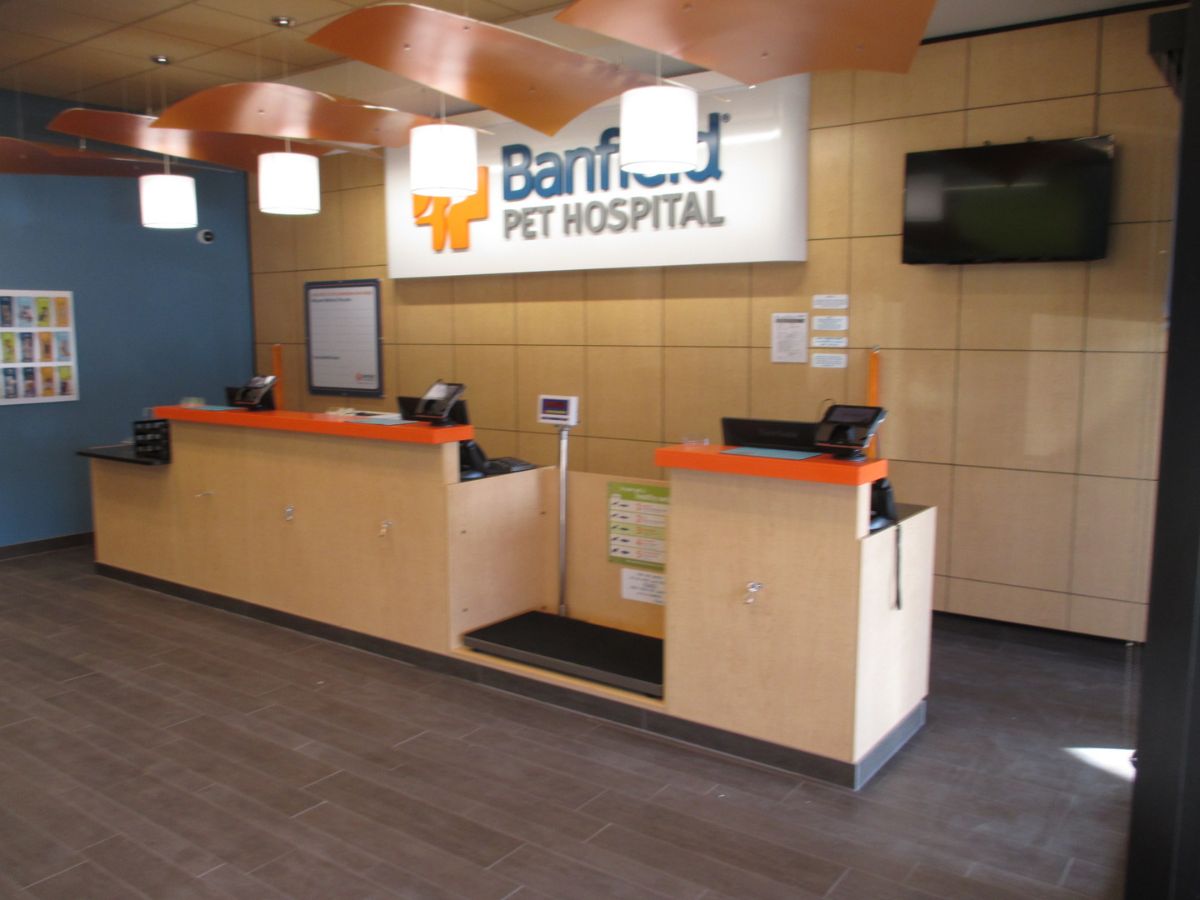 The Thousand Oaks - Park Oaks Banfield hospital front desk and check-in area
