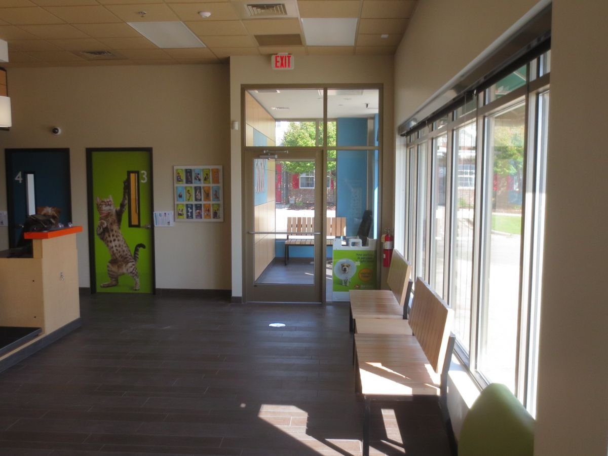 The customer waiting area of the Savage Banfield hospital