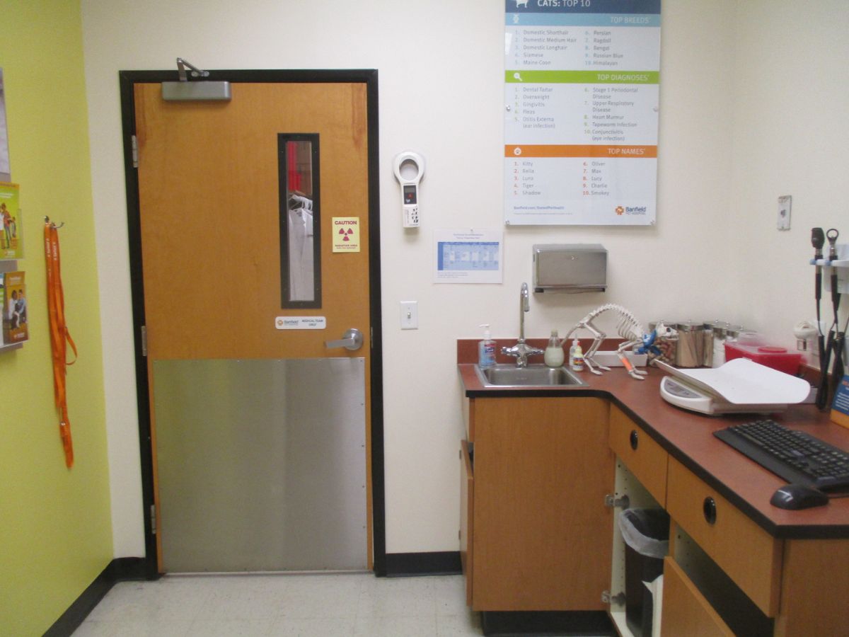 An inside view of an exam room at the Arden Banfield hospital