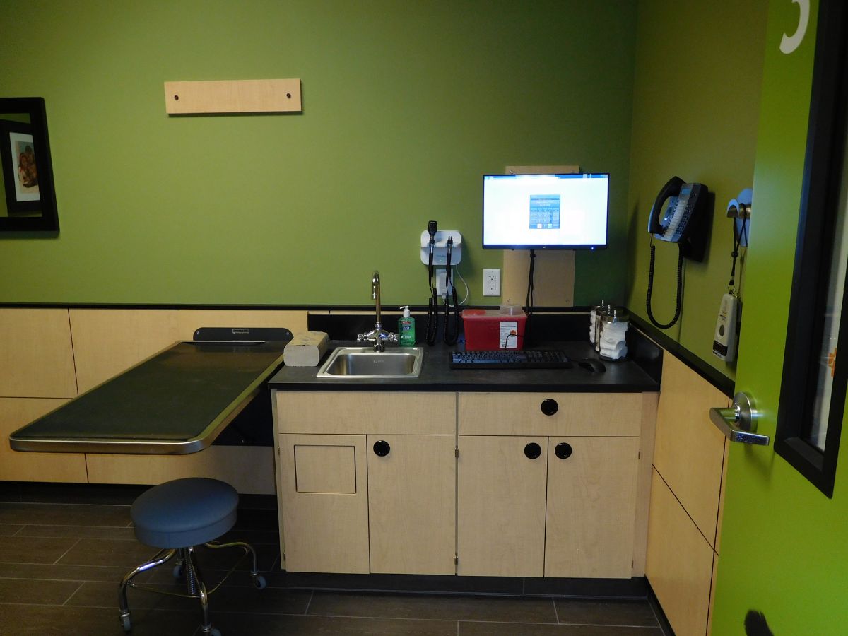 A view of the Greensboro S Banfield exam room