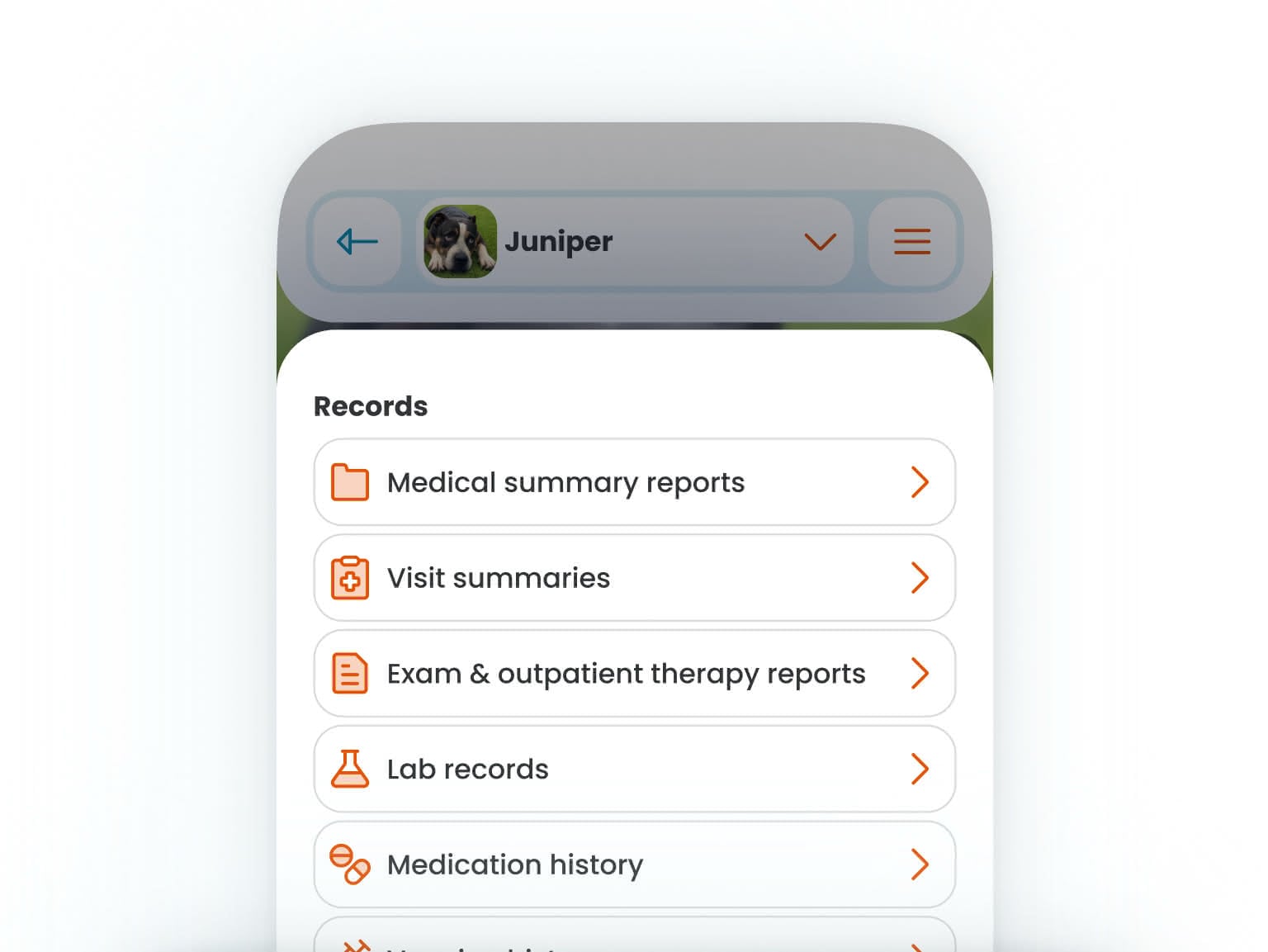 A phone displaying a pet profile in the Banfield mobile app