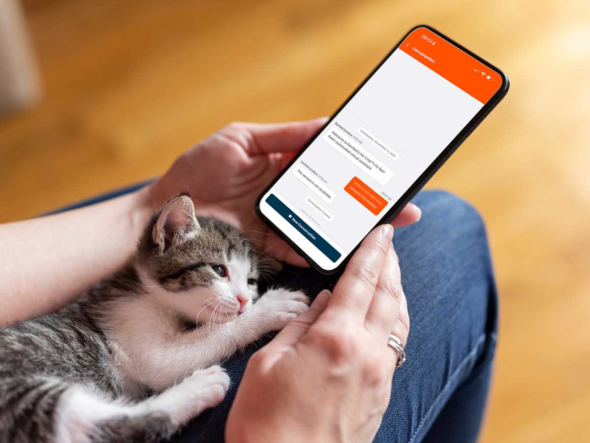 A grey and white kitten sits in their owner's lap while the owner scrolls on a phone featuring Banfield's mobile app