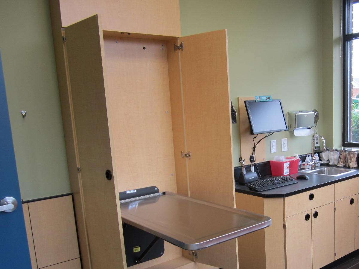 The Stonebridge Banfield exam room with the exam table