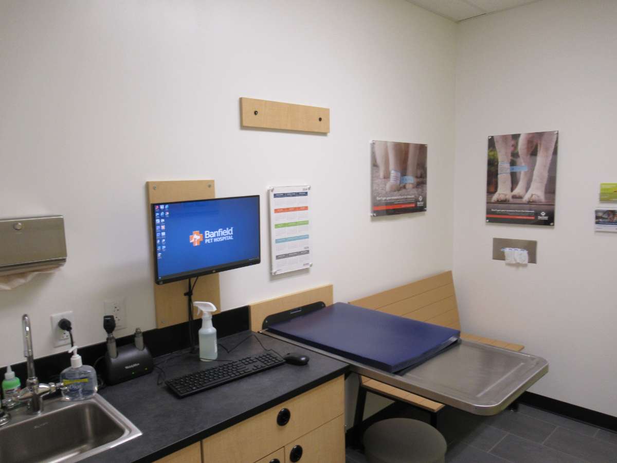 The exam desk at the Banfield East Raleigh hospital