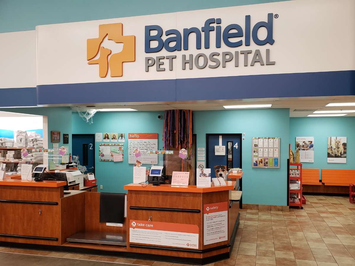 The West Gastonia Banfield hospital front desk and check-in area