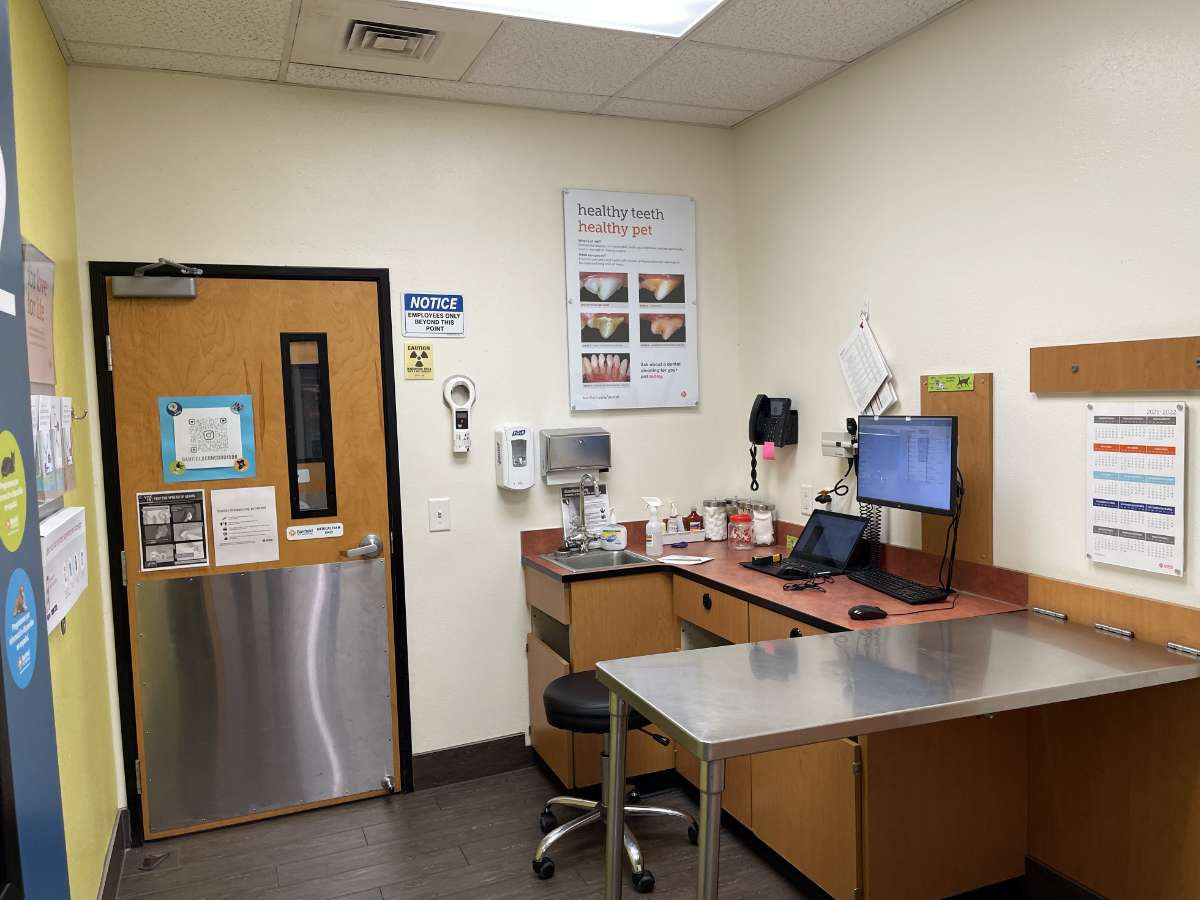A view of the West Concord Banfield hospital exam room