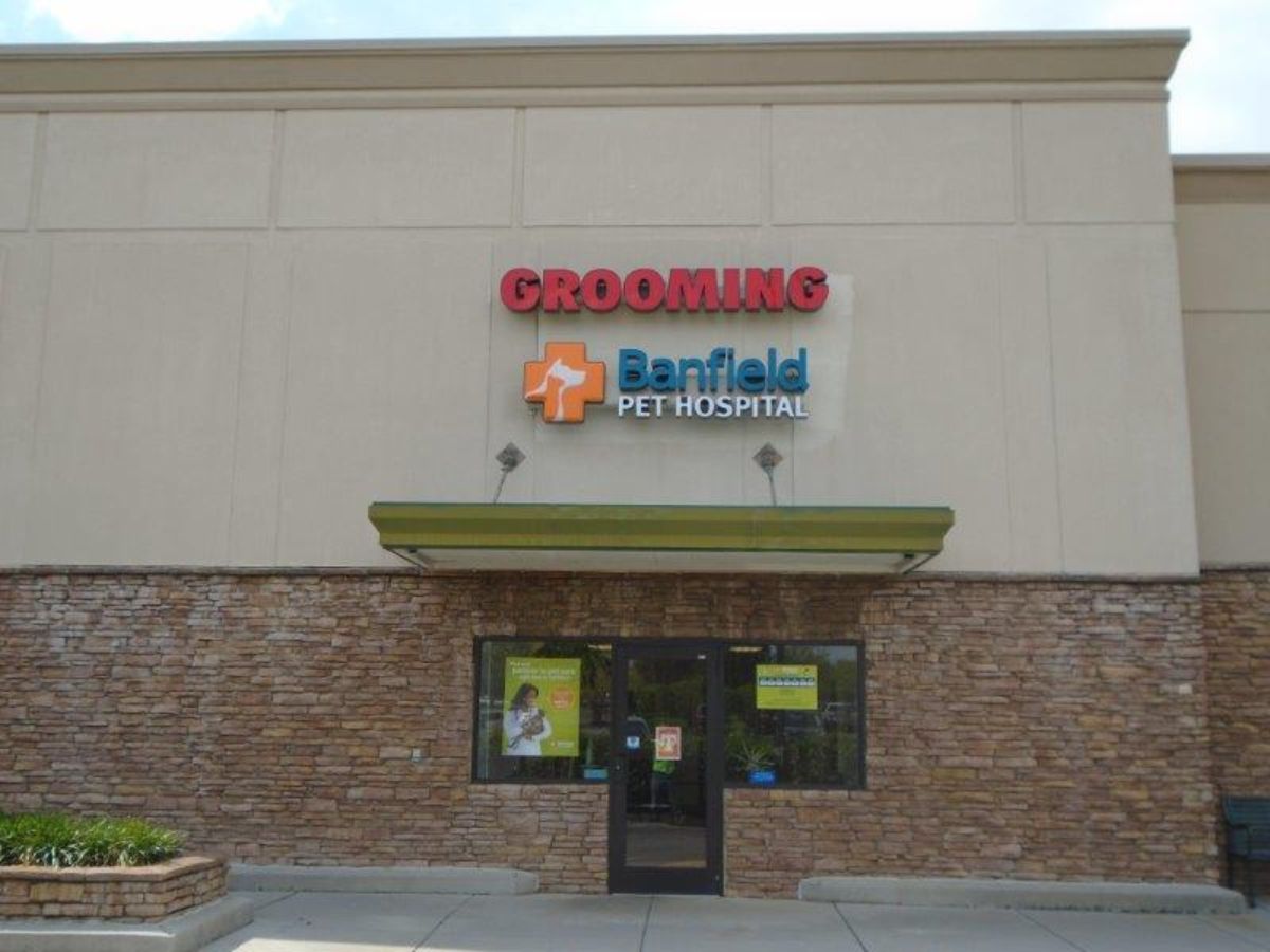 The Knoxville (West Town) Banfield front exterior door