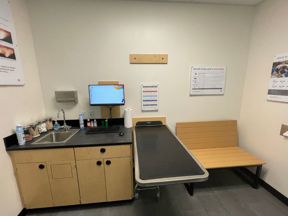 The Banfield Pet Hospital: Clarksville North exam room with table
