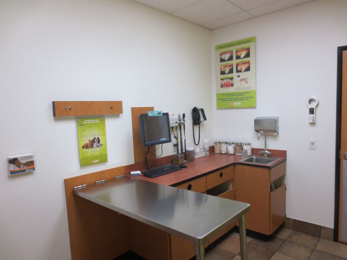 The Banfield Pet Hospital: Reston exam room with table
