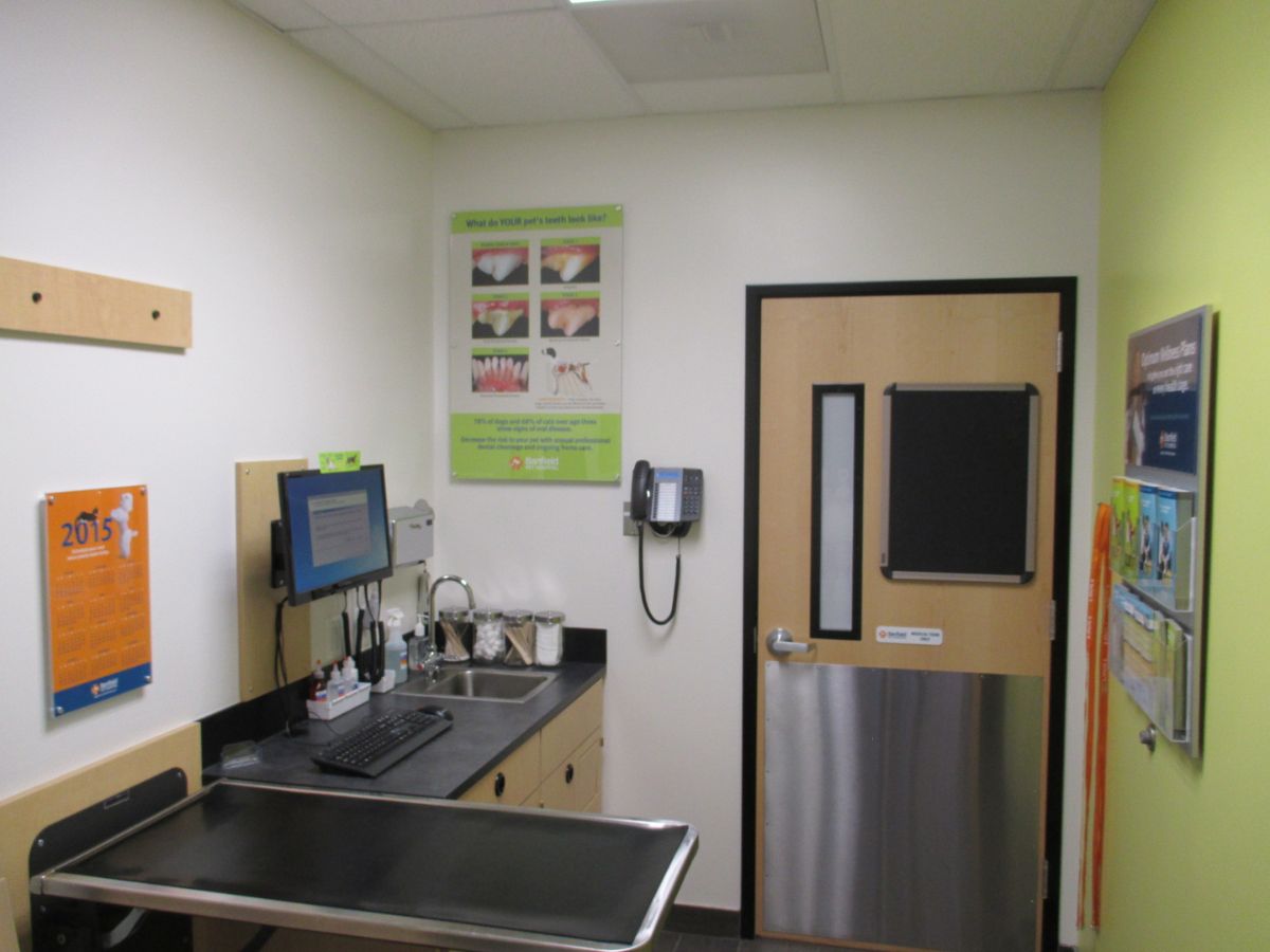 A view of the South Riding Banfield hospital exam room