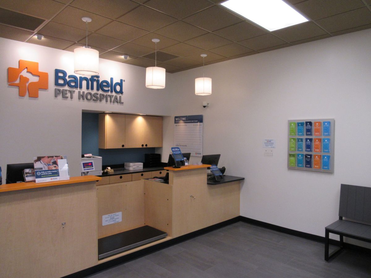 The front desk at the Fairfax Banfield hospital