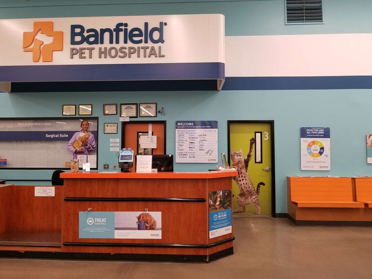 The S Oklahoma City Banfield front desk and exam room door