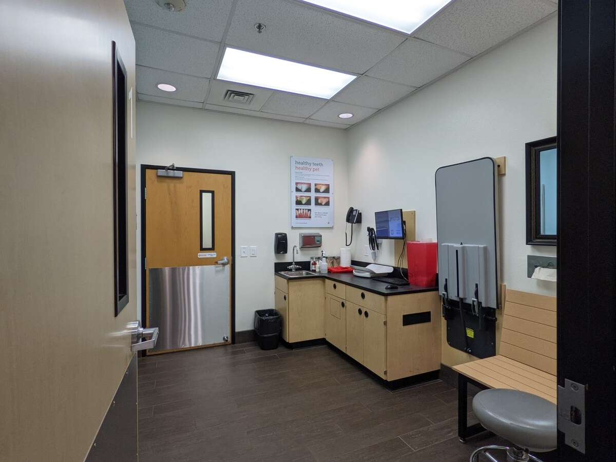 An alternate view of the Banfield Woodruff hospital exam room
