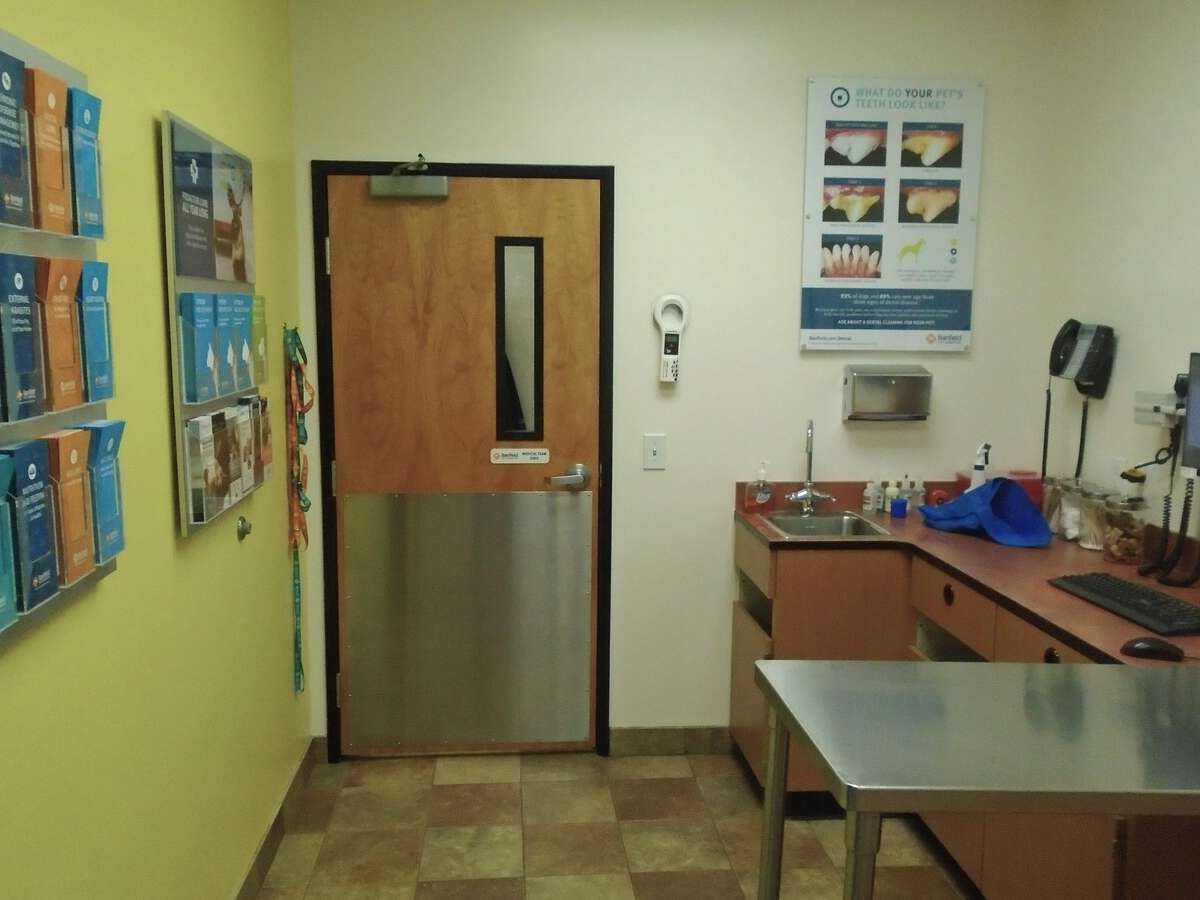 The view of the Lexington Banfield exam room