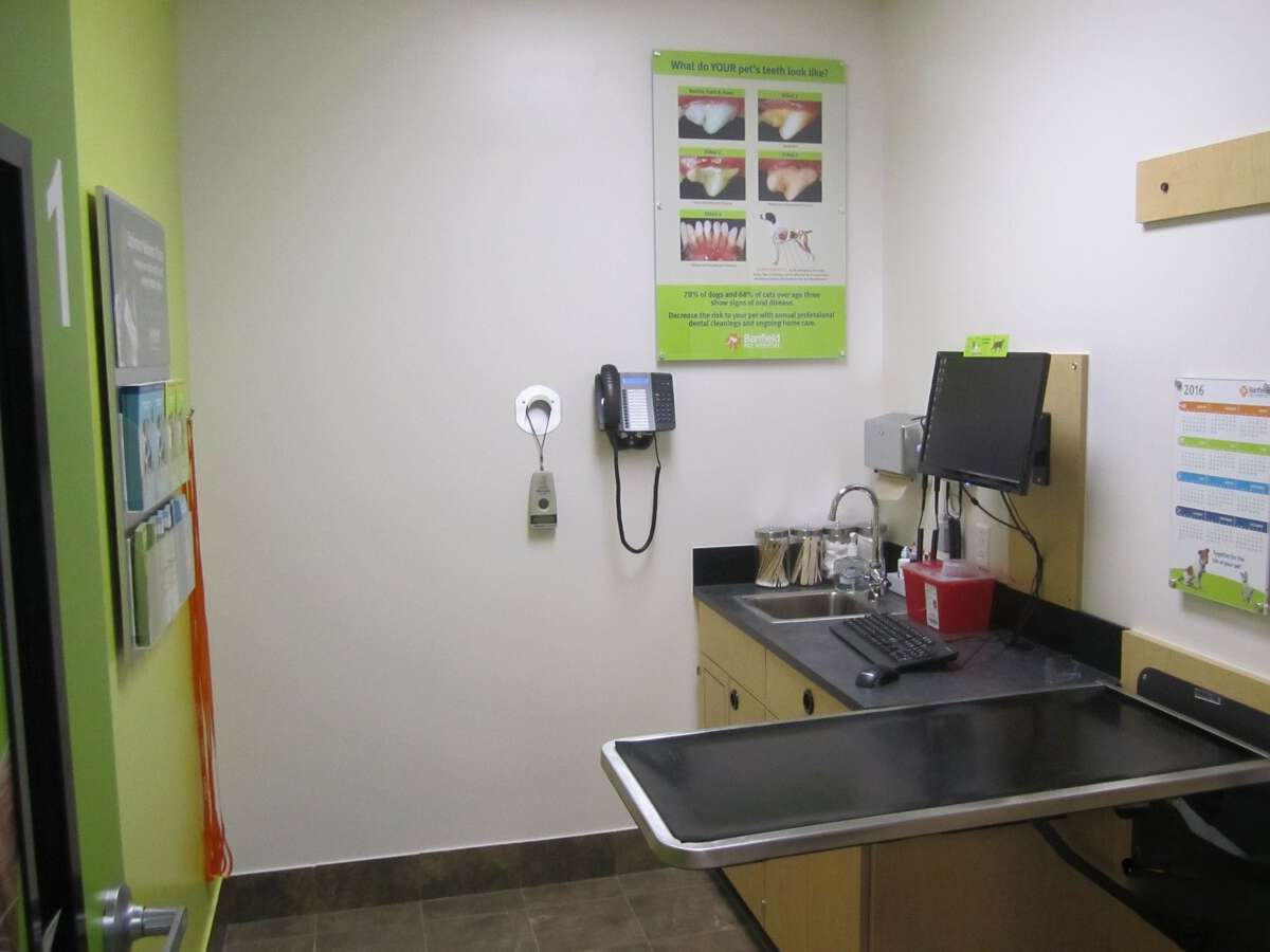 A view of the Columbia Garners Ferry Banfield exam room