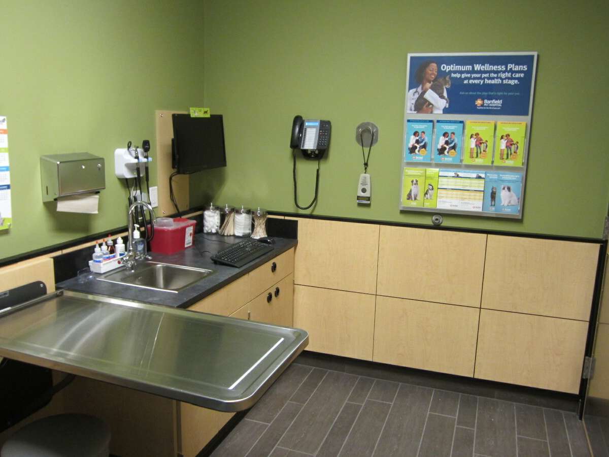 An alternate view of the Mt. Pleasant W Banfield exam room with table